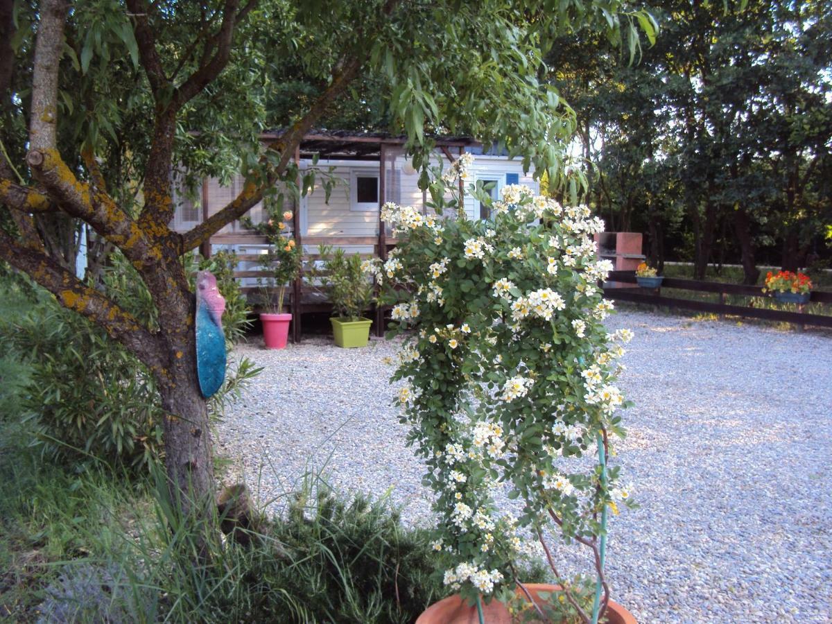 La Douloire Holiday home Pernes-les-Fontaines